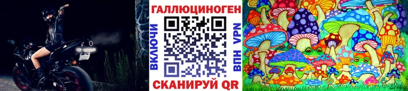 Купить  Камызяк  Галлюциногенные грибы Magic Shrooms 